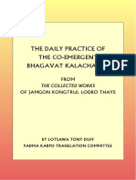 bagavat kalacakra_2008.pdf