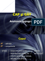 2-curs-2-topografie-cap-si-gat.ppt
