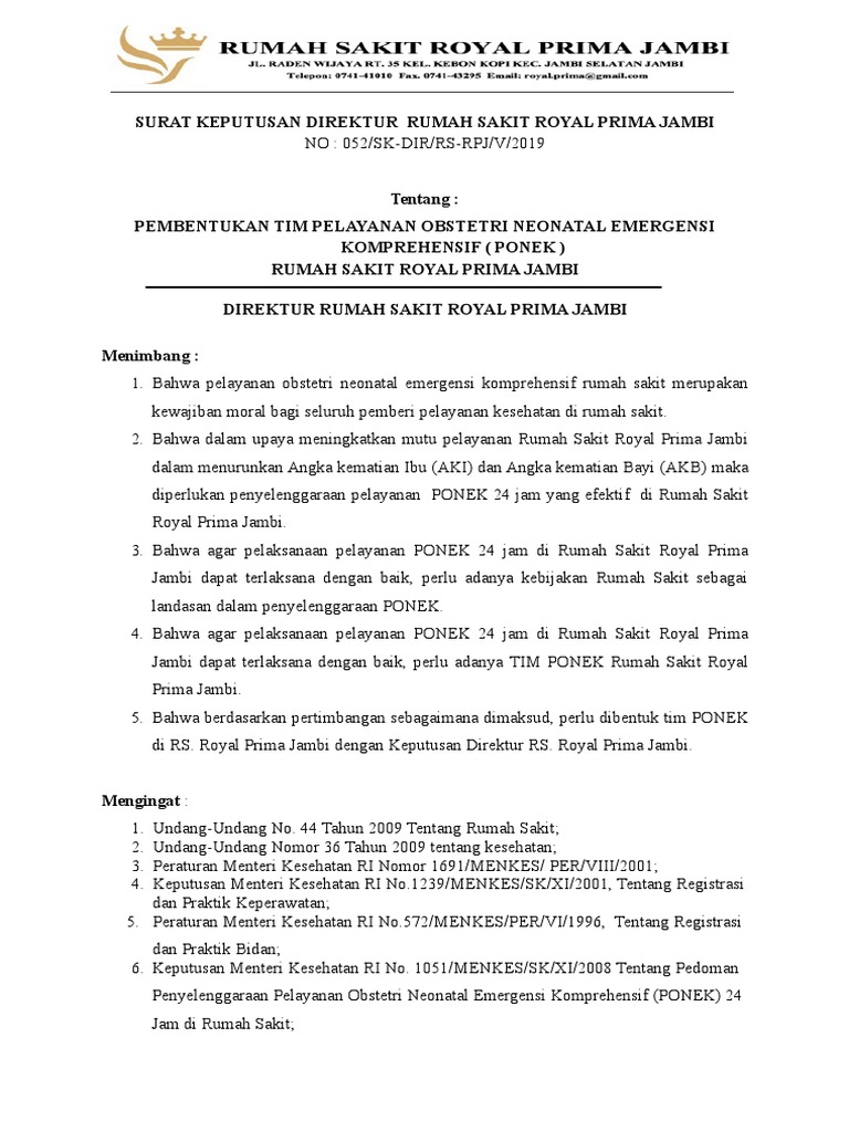 Pembentukan Tim PONEK RS Royal Prima Jambi | PDF