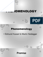Phenomenology Report