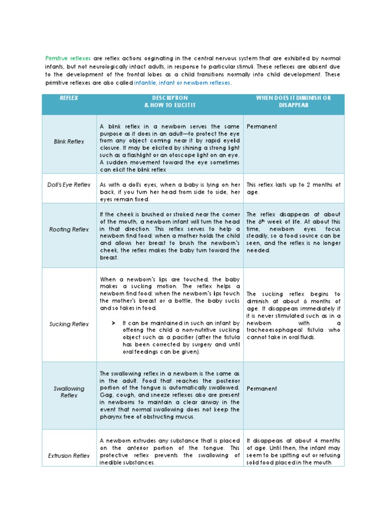 Primitive Reflexes | PDF | Anatomical Terms Of Motion | Human Leg