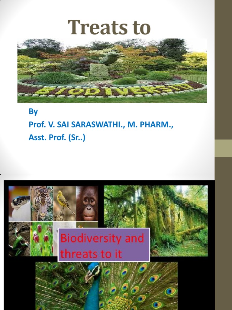 Biodiversity Threats and Solutions | PDF | Habitat Destruction ...