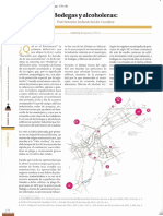 Bodegas y Alcoholeras. Patrimonio Industrial de Caudete