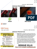 HSE Focus - 033 Dengue Prevention