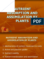 2 Nutrient Absorption