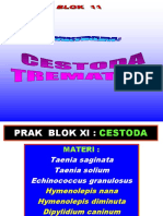 Tadulako Prak Blok 11 Cestoda & Trematoda (Lenovo's Conflicted Copy 2015-0