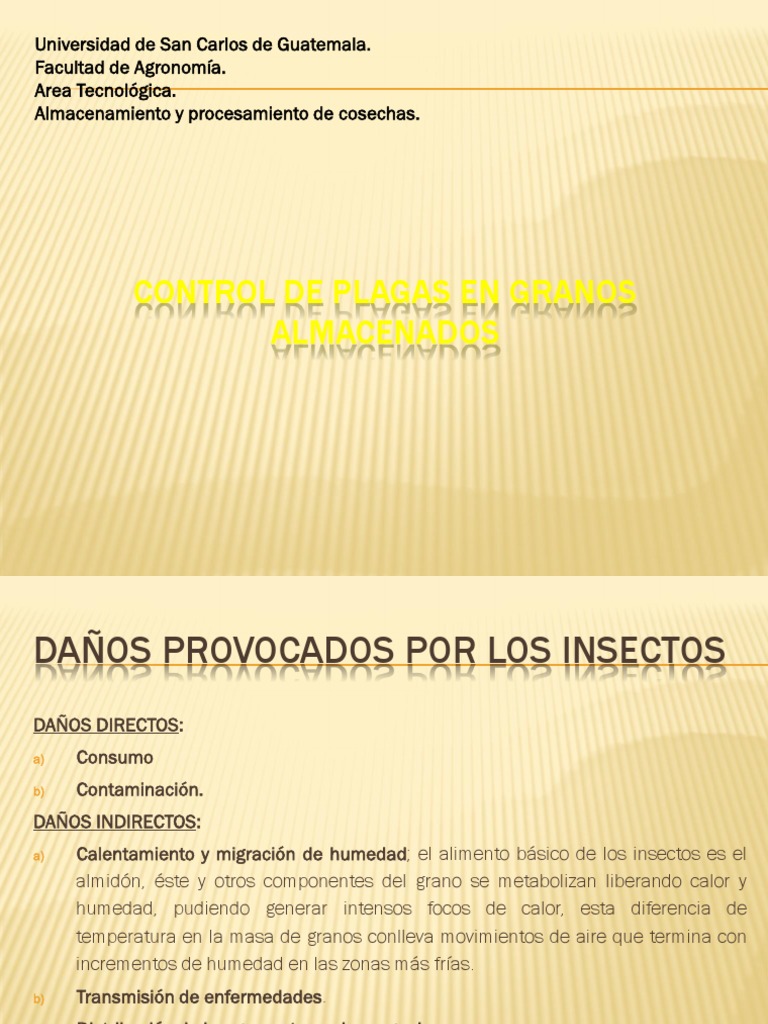 Control de Plagas en Granos Almacenados | PDF | Cereales | Insectos