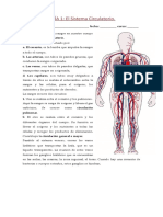 GUIA_1_EL_SISTEMA_CIRCULATORIO_95911_20190814_20180212_162149.DOC