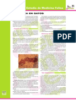 diarrea_en_gatos.pdf