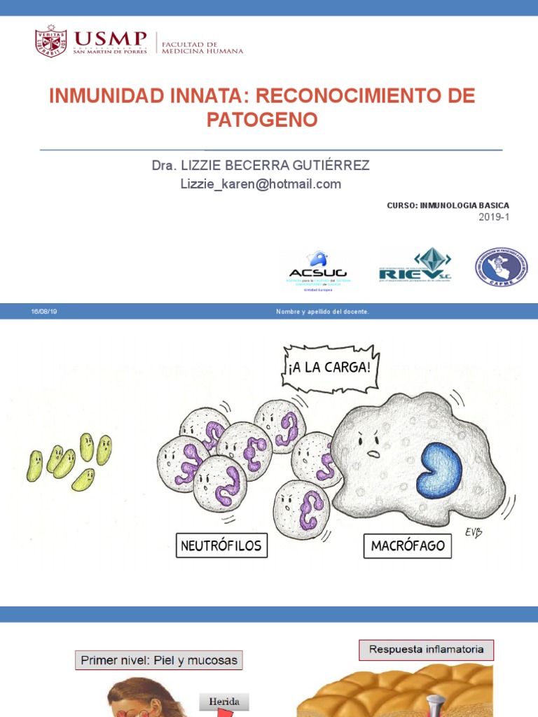 Inmunidad Innata y Reconocimiento de Patógenos | PDF | Sistema inmune ...
