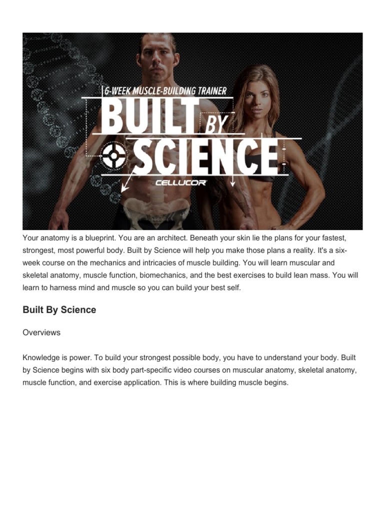 Anatomy and Core Training Essentials | PDF | Pelvis | Human Leg