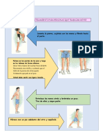 Estilos de Vida Saludables PDF