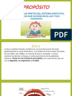 Boca Diapositivas