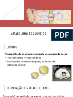 Bioquímica - Aula 12 - Metabolismo Dos Lipídios