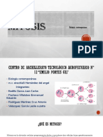 Mitosis Cbta 12 6B