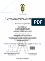 Certificado Sena 2
