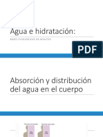 Agua e Hidratación