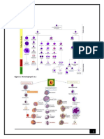 Atlas de analisis quimico clinico