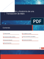 Introducción y Anatomía de Una Transacción de M&A