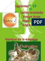 Proyecto Orellana Osteatrus