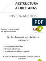 Infraestructura para Orellanas Diap