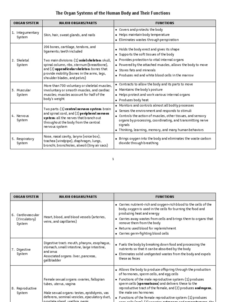 Human Body Organ Systems Overview | PDF | Human Body | Skeleton