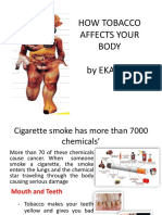 How Tobacco Affects Your Body by Eka Cici