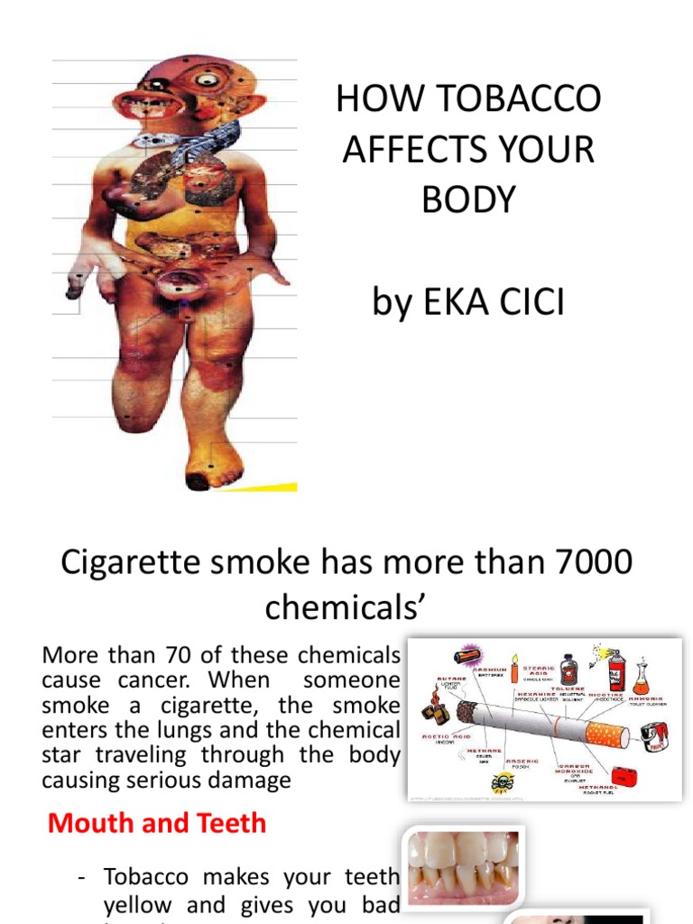 How Tobacco Affects Your Body by Eka Cici | PDF | Tobacco Smoking ...