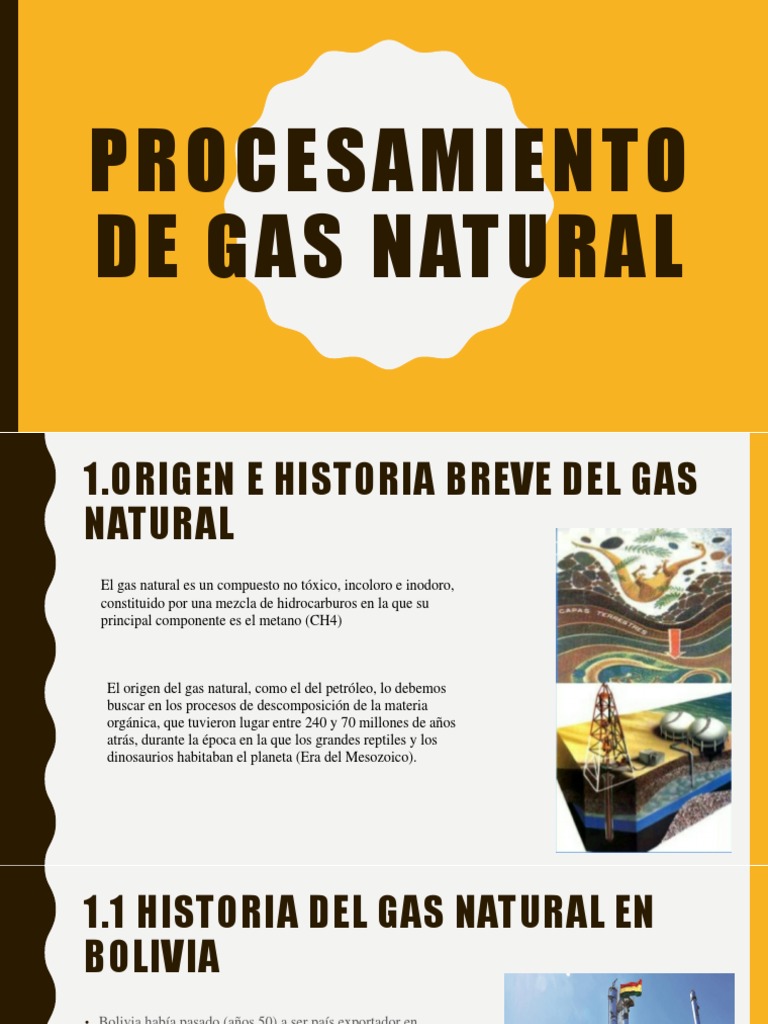 Procesamiento del Gas Natural en Bolivia | PDF | Gas natural | Petróleo
