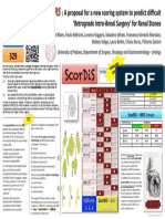 Stones"-RIRS) : Defini-Ons of Different Morphologies of The Upper Urinary Tract