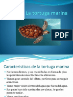 La Tortuga Marina