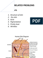 Skin Related Problems: 1. Structure of Skin 2. Dry Skin 3. Acne 4. Pigmentation 5. Prickly Heat 6. Wrinkles