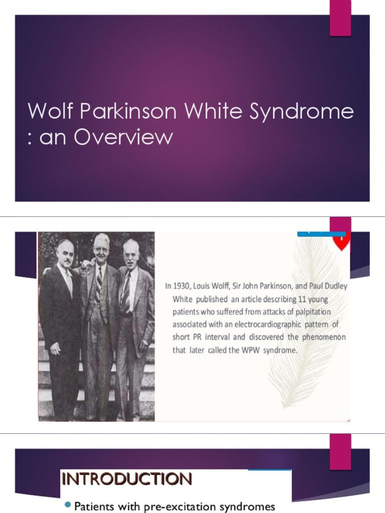 Latest WOLFF Updates visual data 7