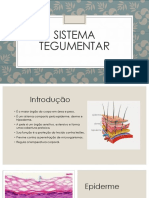 Sistema tegumentar: estrutura e funções da pele