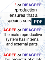 Male Reproductive System