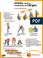 Normas básicas levantamiento cargas