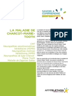 Zoom Sur La Maladie de Charcot Marie Tooth - Afm