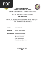 proyecto de abono de platanao