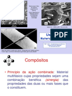 COMPOSITO USP.pdf