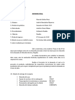 Informe Final Américo Poma