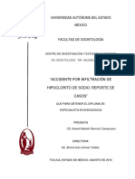 tesis_Araceli Marleth Ramírez Campuzano..pdf