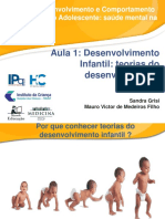 Aula 1: Desenvolvimento Infantil: Teorias Do Desenvolvimento