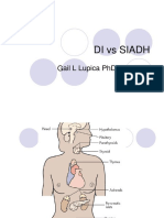 Di Vs Siadh: Gail L Lupica PHD, RN, Cne