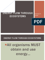 Energy Flow Through Ecosystems: Science 9 2019