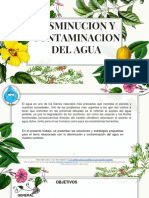 Disminucion y Contaminacion Del Agua