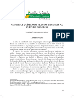 palestra04.pdf