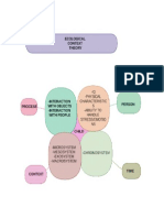 9.ecological Theory