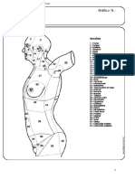 Regioes Do Corpo Humano