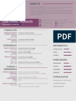 Modelo de Curriculum Medico 817 PDF Desbloqueado