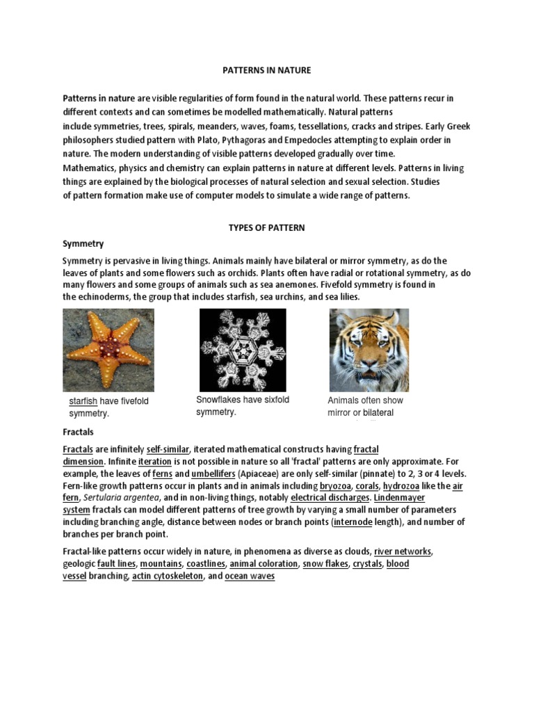 0 - Patterns in Nature | PDF | Pattern | Teaching Mathematics